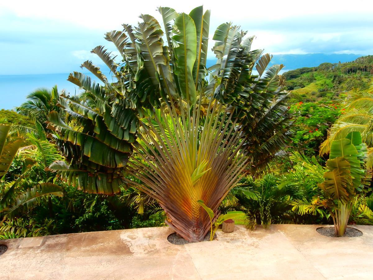 Korovesi Sunshine Villas Savusavu Luaran gambar